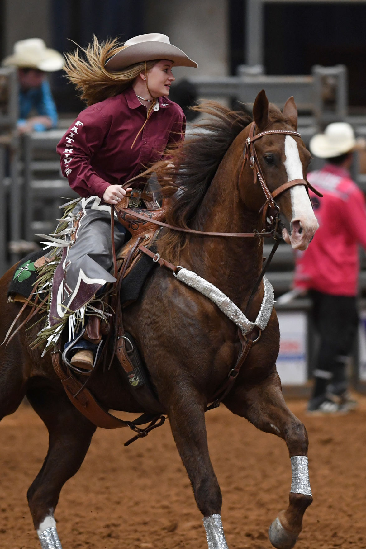 Brazos Valley Fair and Rodeo